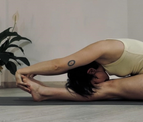 TALLER DE FLEXIONS CAP ENDAVANT I EN TORSIÓ